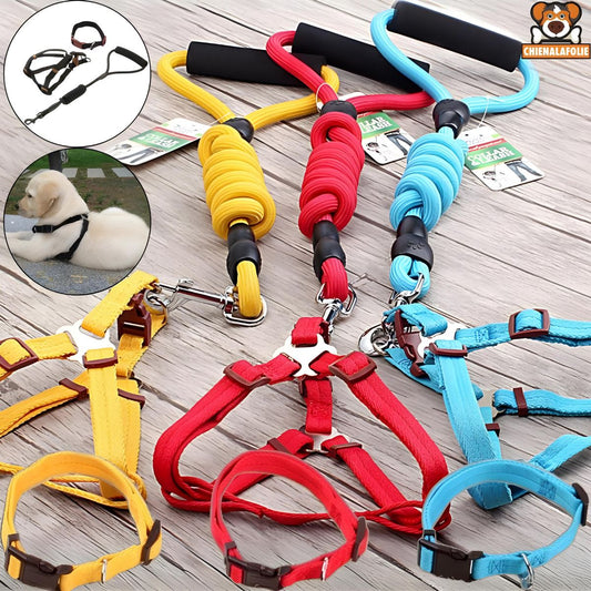 Harness, Leash and Collar for Dogs 