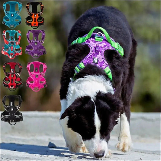 Harness For Optimal Canine Comfort 