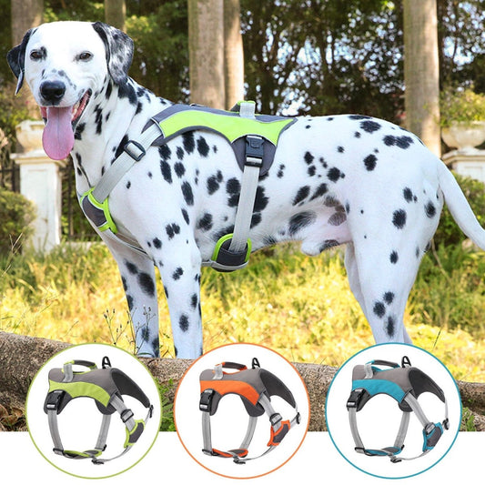 Adjustable and Comfortable Dog Harness