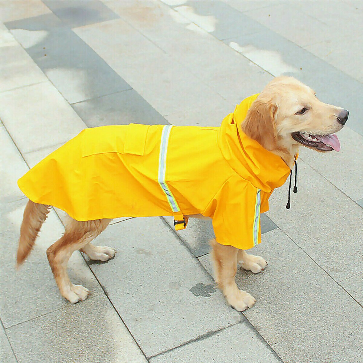 Imperméable Chien Réglable Capuche Bandes Réfléchissantes - CJJJCWGY04497 - S - Manteaux - Chienalafolie