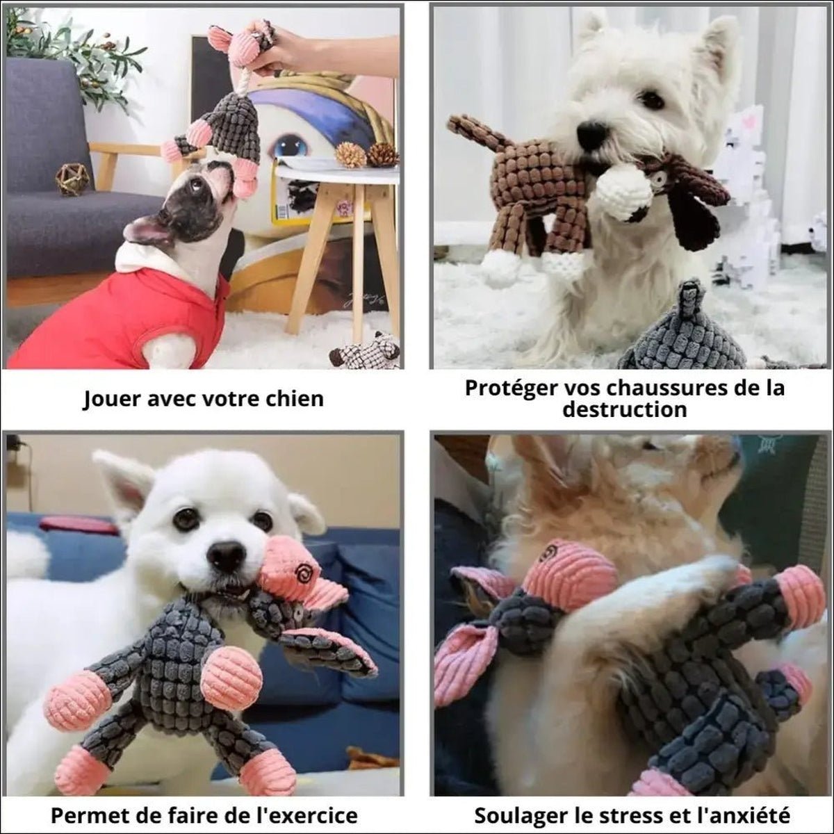 Jouet à Mâcher Dogsqueaky Pour Chiens - CJGY105279303CX - Peluches pour chien - Chienalafolie