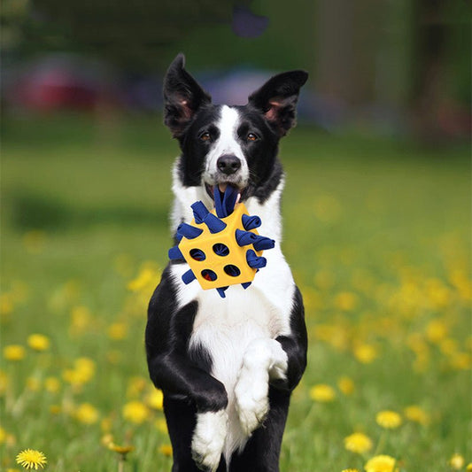 Jouet Cube à Mâcher et Renifler pour Chien