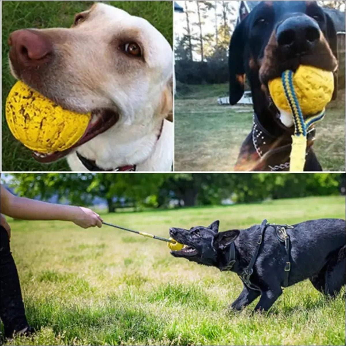 Jouet D'entraînement En Caoutchouc Pour Chiens - CJJJCWGY00762 - Rope ball - 7cm - Balles - Chienalafolie