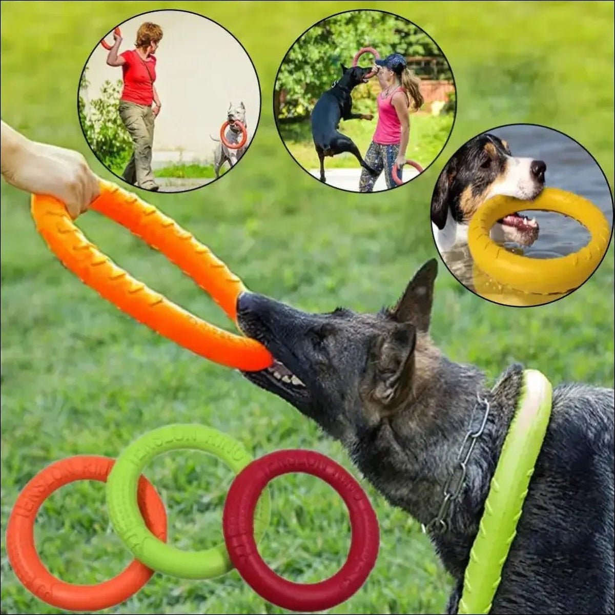 Jouet Indestructible Floatringer Pour Chien - CJJJCWGY01977 - Green - S - Frisbee - Chienalafolie