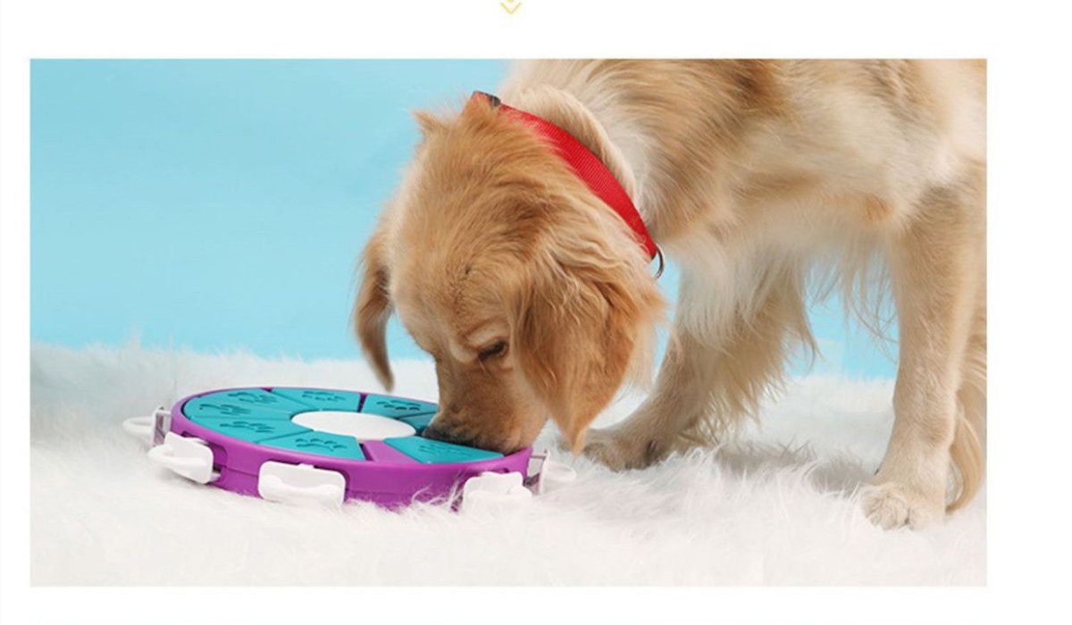 Jouet Puzzle Interactif pour Chiens Distributeur Croquettes - CJGY105336501AZ - Distributeurs de nourriture - Chienalafolie