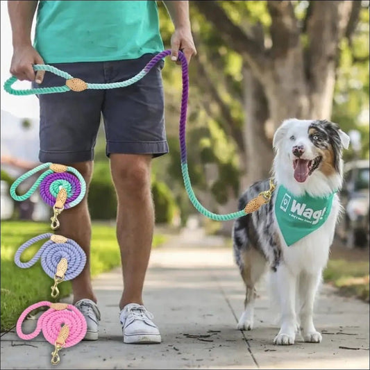 Rainbow Cotton Leash For Dogs 