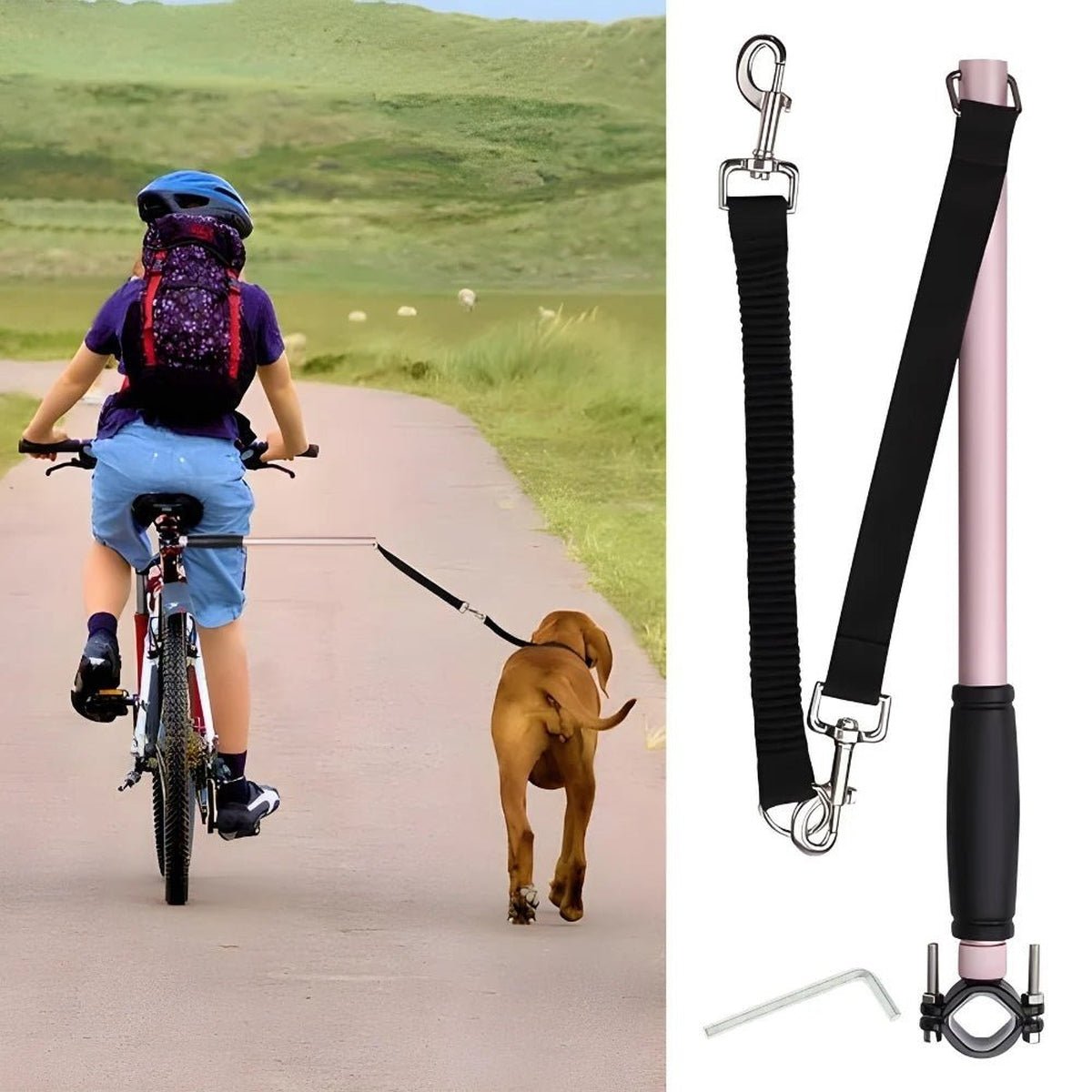 Laisse de Vélo Mains Libres pour Chiens - CJJJCWGX00034 - Rose gold - Laisses - Chienalafolie