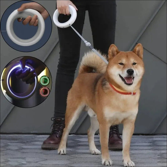 Ufo 2 Retractable Led Leash For Dogs 