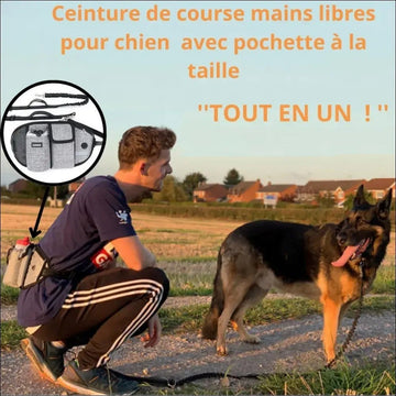 Laisse Multifonction Withdog2 Pour Chiens - CJGY112387105EV - Laisses - Chienalafolie