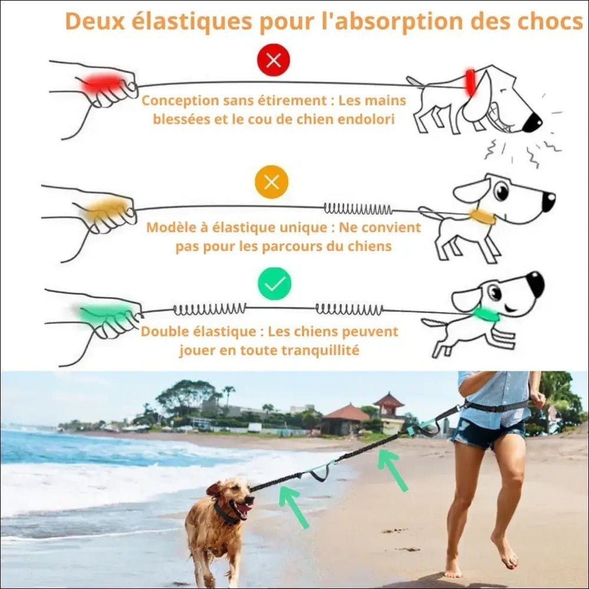 Laisse Multifonctionnelle Withdog Pour Chien - CJGY171808409IR - Laisses - Chienalafolie