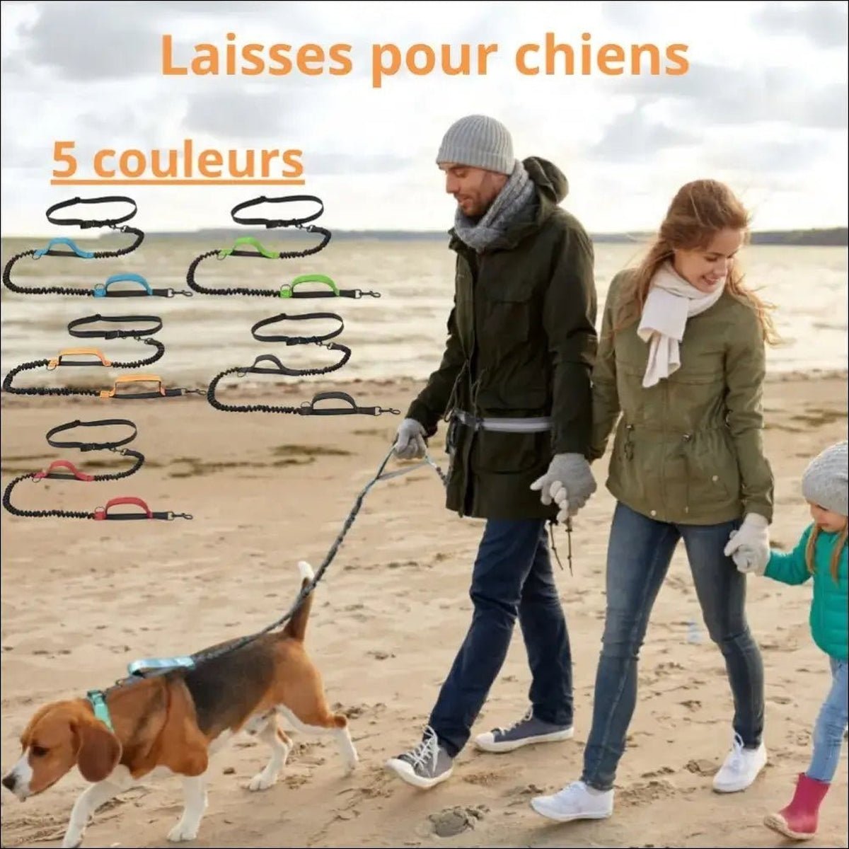 Laisse Multifonctionnelle Withdog Pour Chien - CJGY171808409IR - Laisses - Chienalafolie