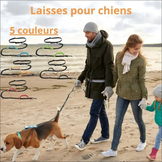 Laisse Multifonctionnelle Withdog Pour Chien