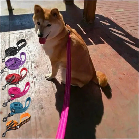 Reflective Dog Leash 