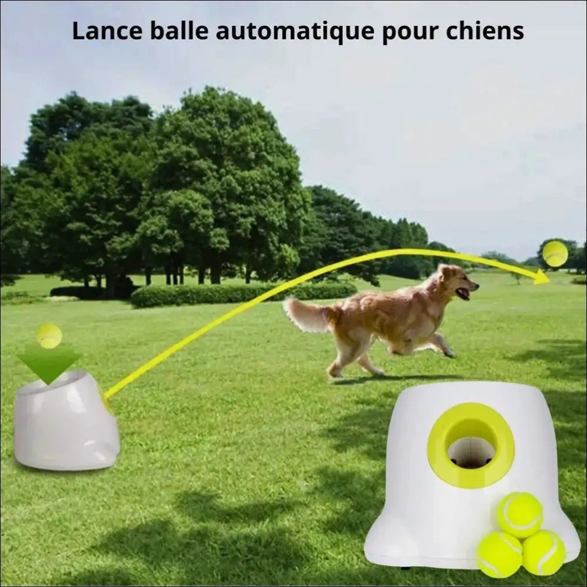 Lanceur De Balles Ballpitcher Pour Chiens - CJJJCWGY00346 - EU plug - Lances balles automatiques - Chienalafolie