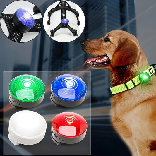 LED Safety Light for Dogs