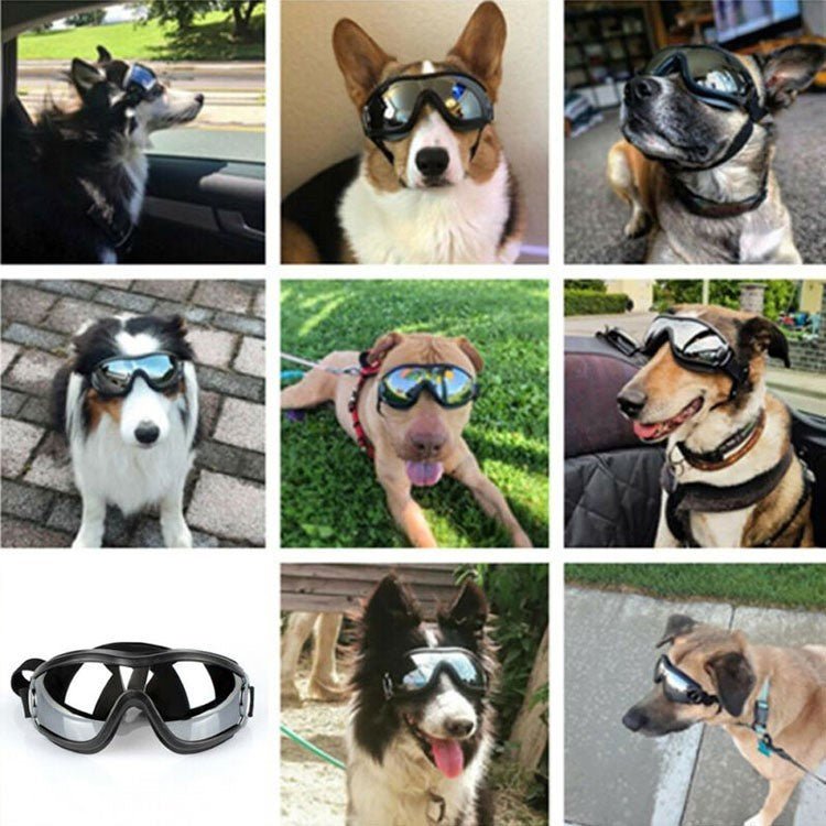 Lunettes de Protection pour Chien Anti - UV Imperméables - CJYD148927701AZ - Lunettes de protection - Chienalafolie