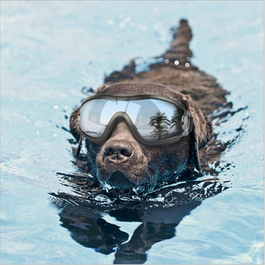 Waterproof Anti-UV Dog Goggles 