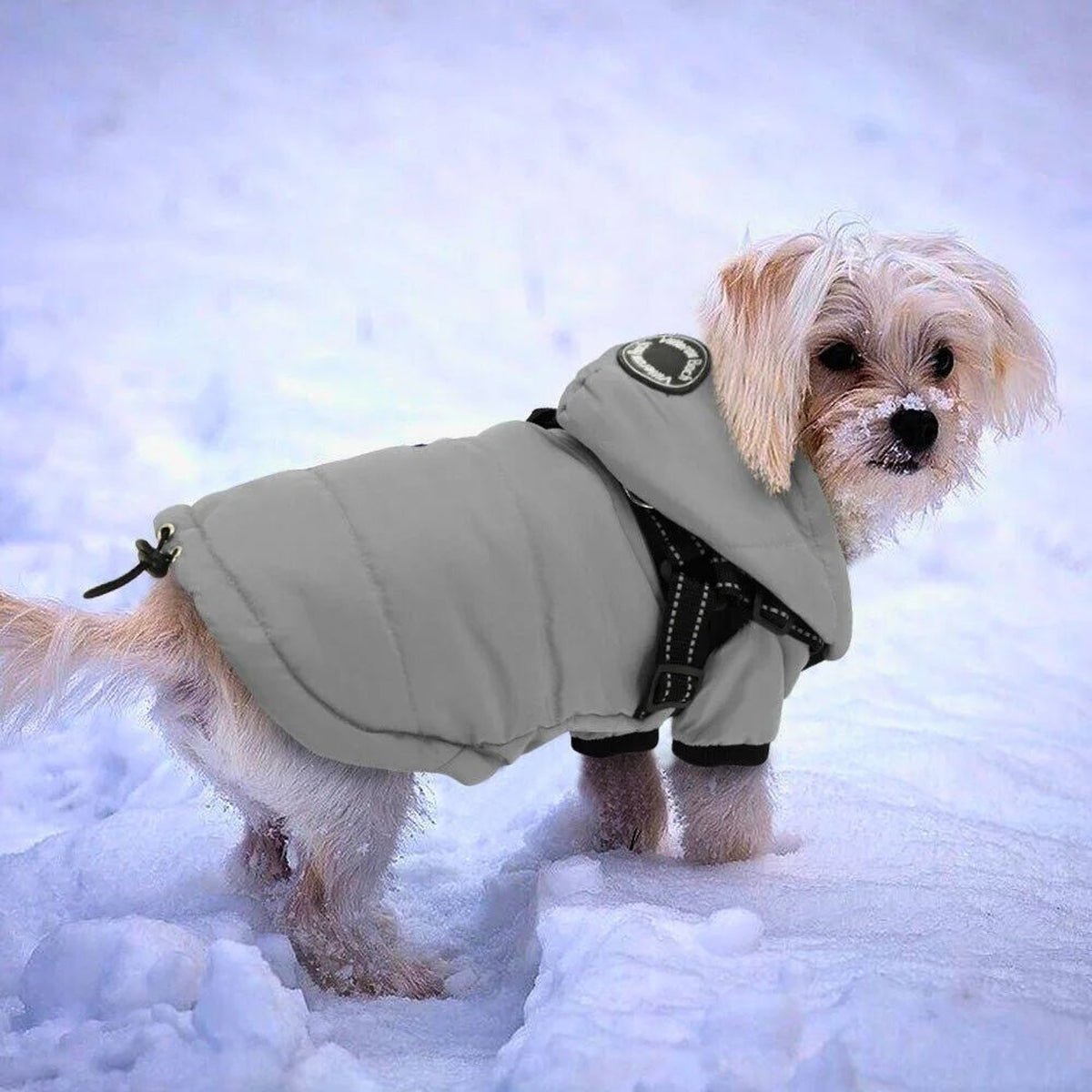 Manteau Chaud Imperméable Harnais Intégré pour Chiens - CJGD189102401AZ - Vêtements - Chienalafolie