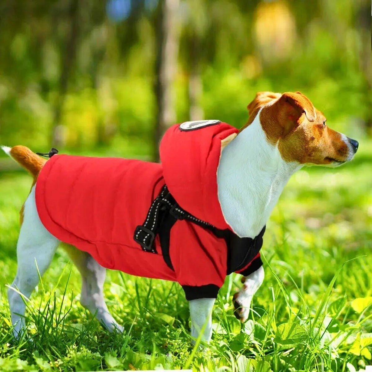 Manteau Chaud Imperméable Harnais Intégré pour Chiens - CJGD189102401AZ - Vêtements - Chienalafolie