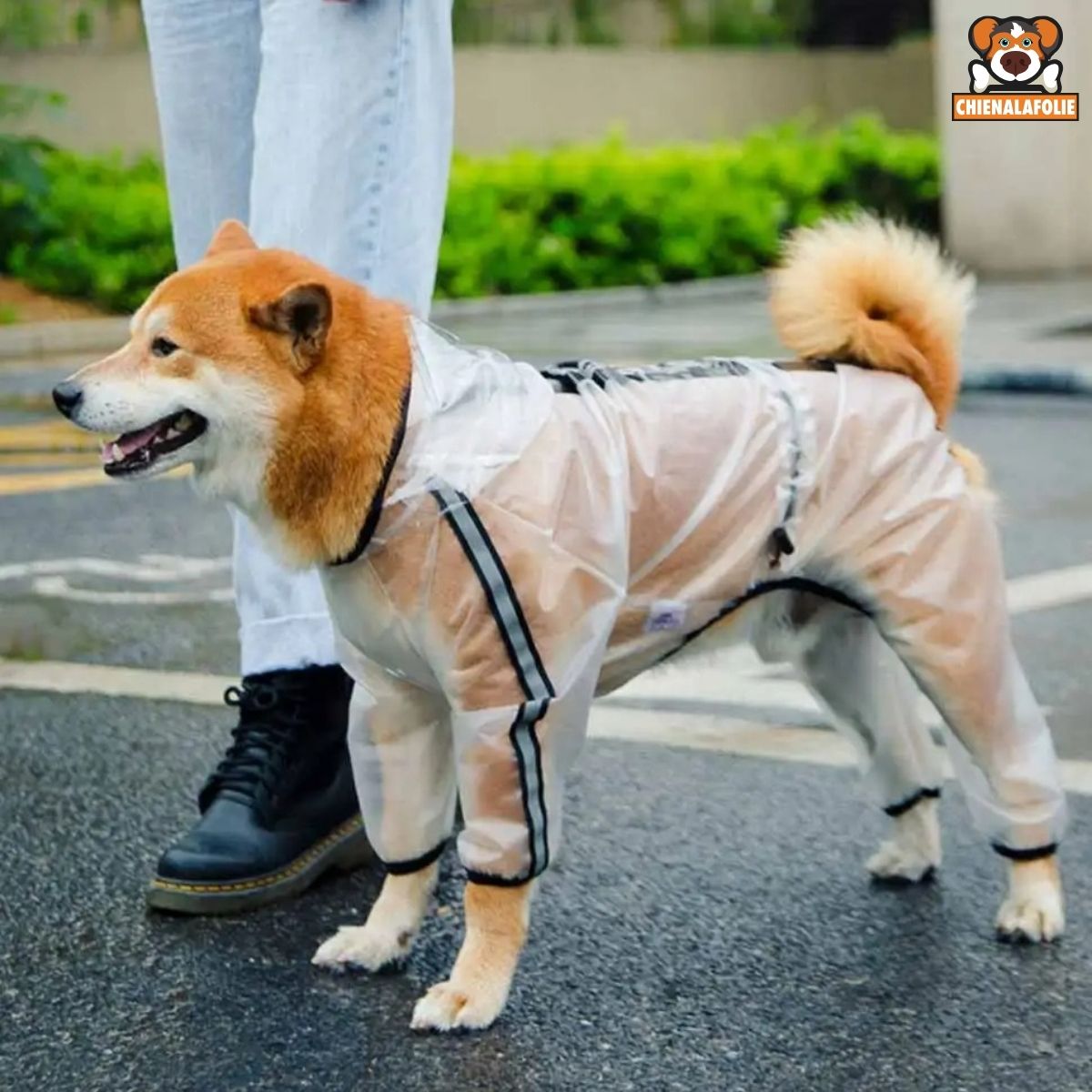 Manteau de Pluie Imperméable pour Chien - CJGD205944701AZ - Manteaux - Chienalafolie