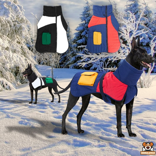 Warm and Waterproof Winter Coat for Dogs