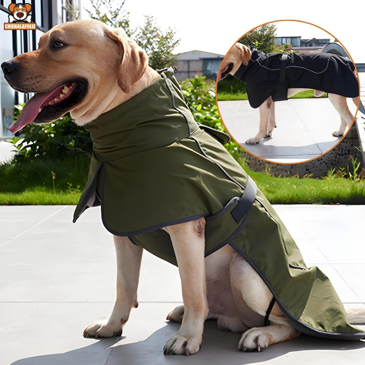 Manteau Imperméable et Chaud pour Chiens - CJGD157098801AZ - Manteaux - Chienalafolie