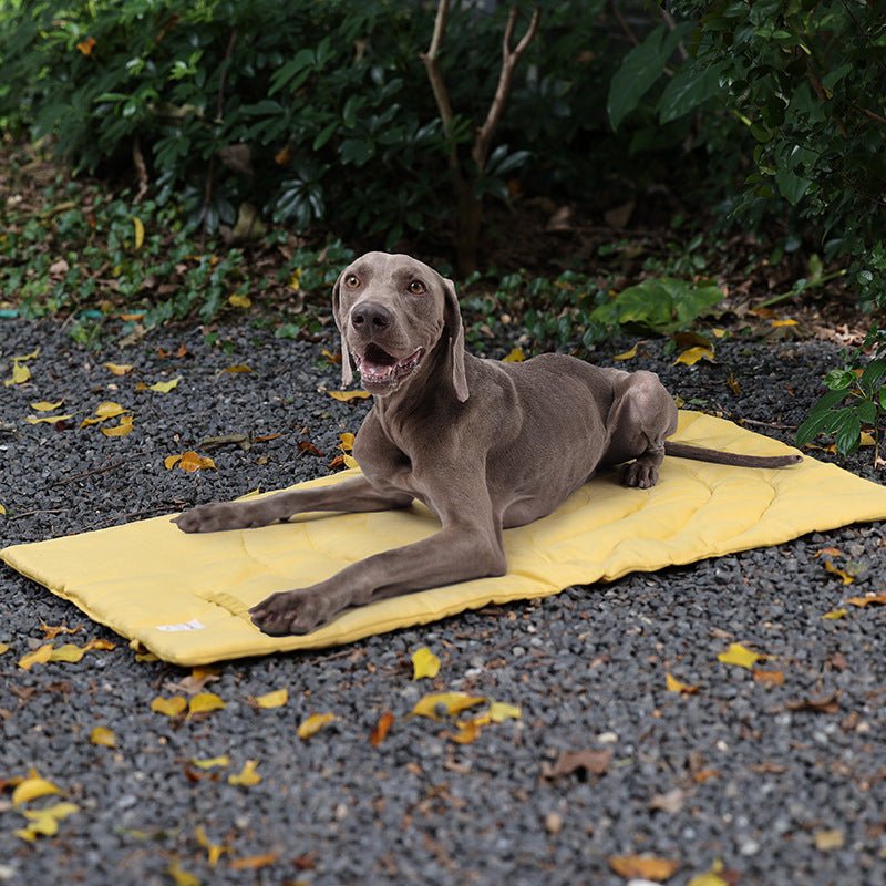 Matelas Imperméable et Pliable pour Chiens - CJGY208501004DW - Lits - Chienalafolie