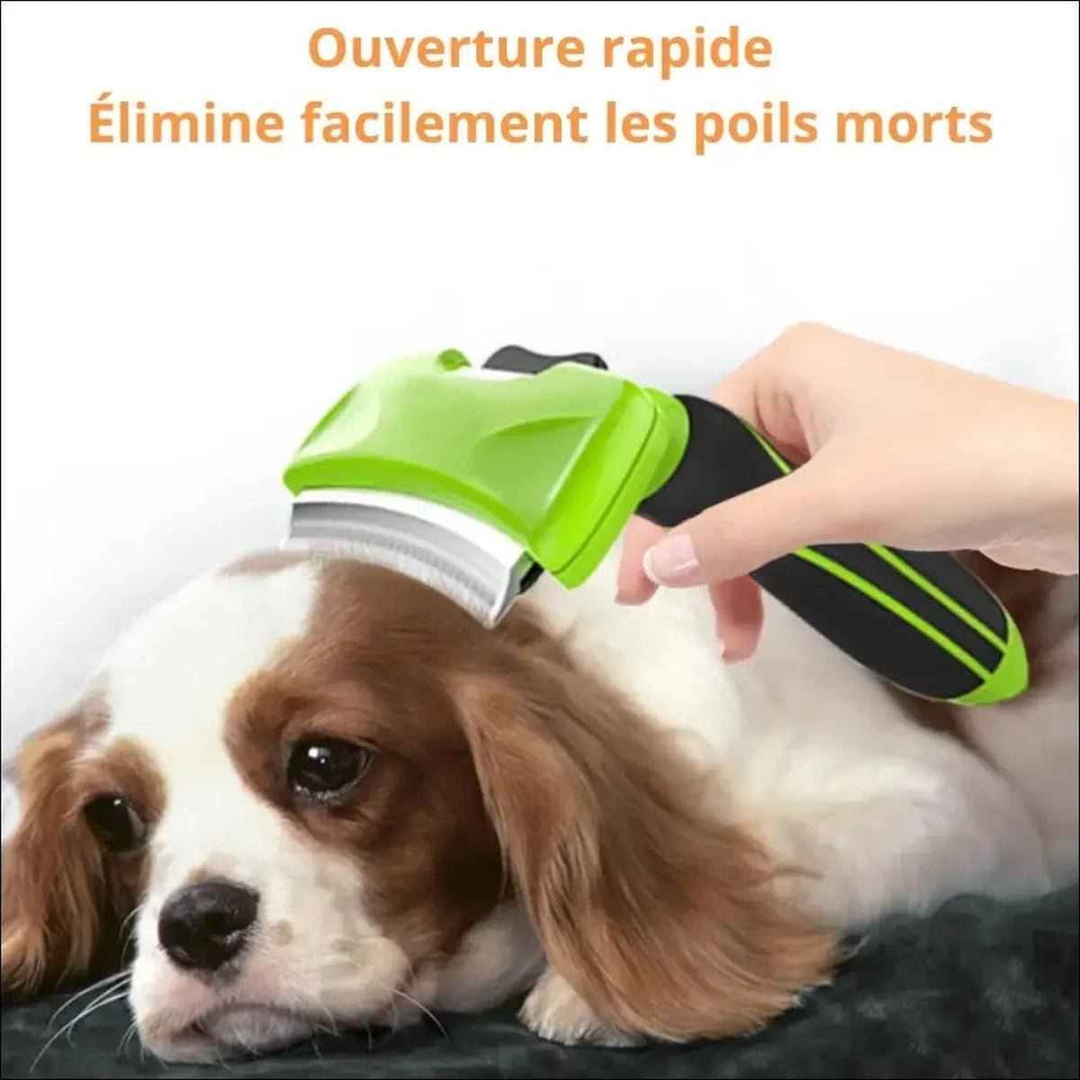 Peigne Multifonction Pour Chien Comboggy - CJY 102441201AZ - Peignes et brosses - Chienalafolie