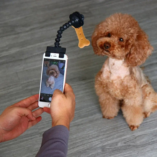 Perche à Selfie pour Animaux