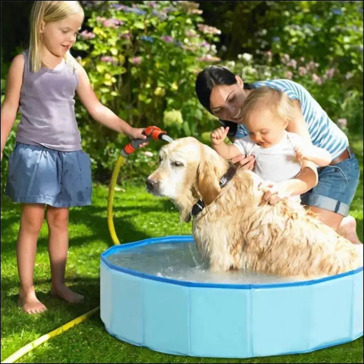 Piscine Pliable Poolfolds Pour Chiens - CJJT150803709IR - Piscines - Chienalafolie