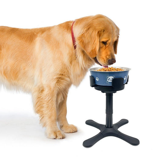 Adjustable Elevated Dog Bowl