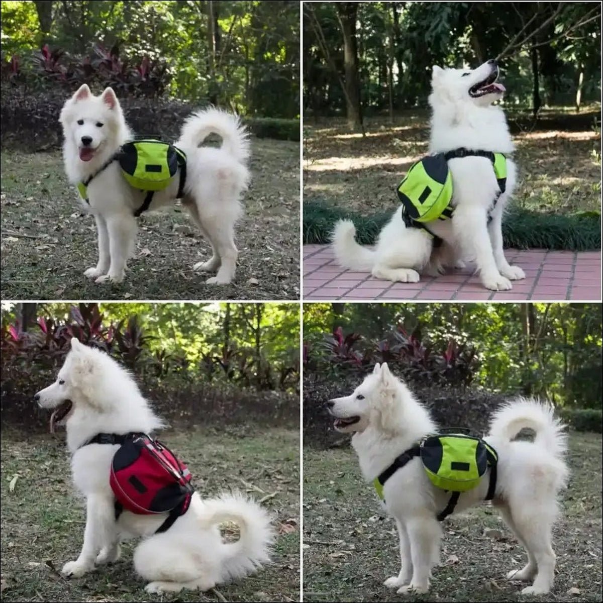 Sac à Dos Confort Pour Chien - CJJJCWGY00229 - Red black - S - Harnais - Chienalafolie