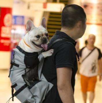 Sac à Dos Ventilé et Respirant pour Animaux - CJJJCWGY00589 - S - black - Sacs de transport - Chienalafolie