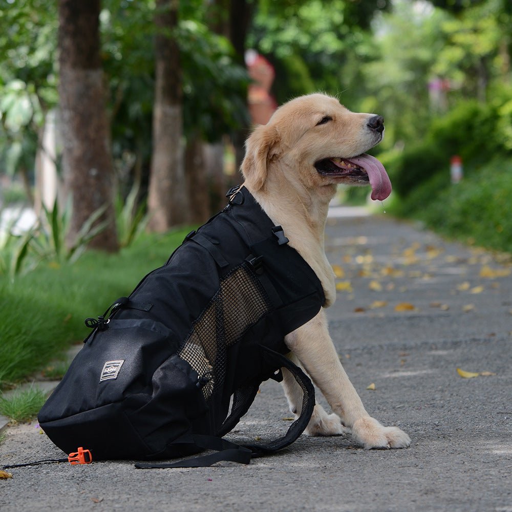 Sac à Dos Ventilé et Respirant pour Animaux - CJJJCWGY00589 - S - black - Sacs de transport - Chienalafolie