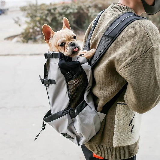 Ventilated and Breathable Pet Backpack