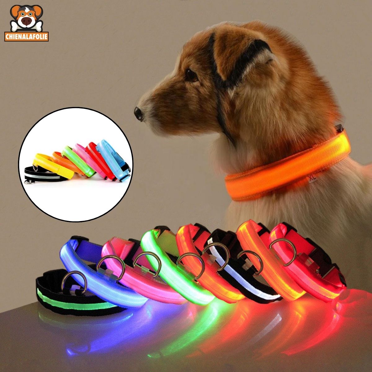 Sécurité Chien LED Collier - CJJJCWGX00003 - Black - XS - Colliers - Chienalafolie