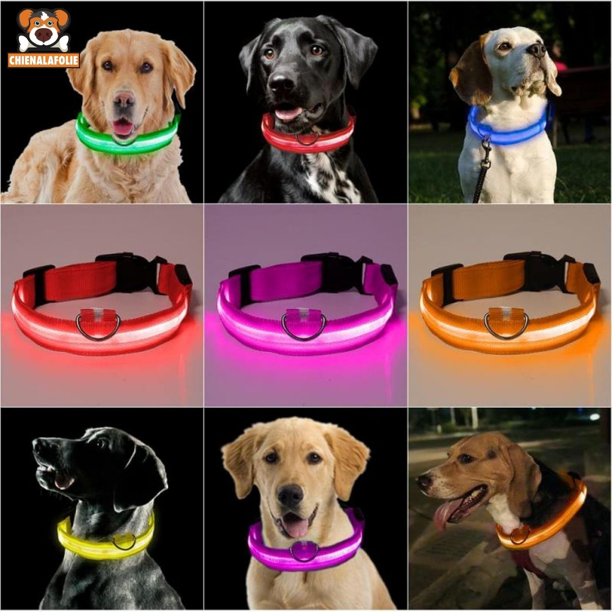 Sécurité Chien LED Collier - CJJJCWGX00003 - Black - XS - Colliers - Chienalafolie