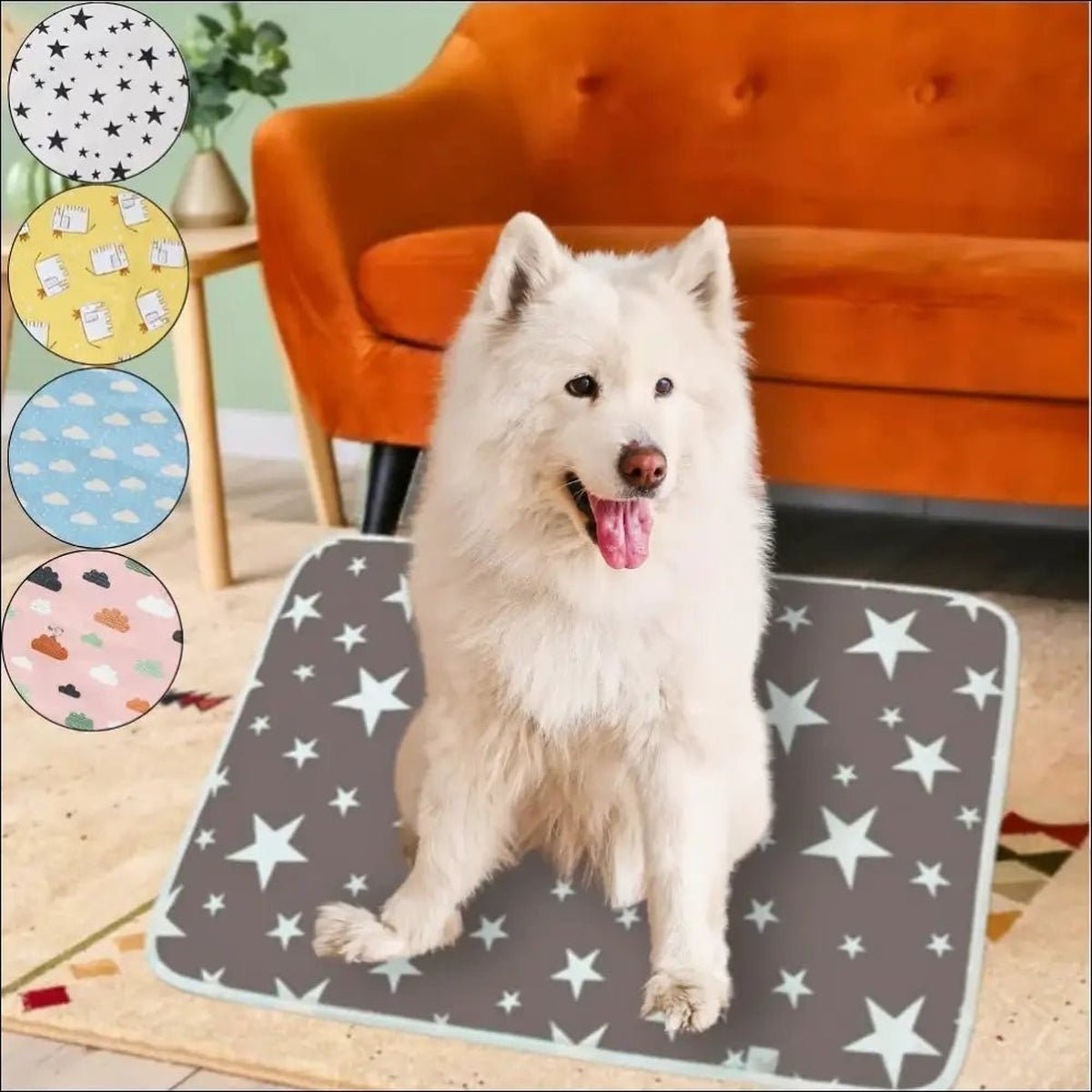 Tapis Lavables Super Absorbants Pour Chiens - CJGY109827318RI - Tapis d'entraînement - Chienalafolie