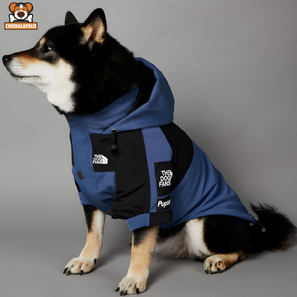 Veste de Luxe Imperméable pour Chiens - 14:173#Blue;5:100014064 - Manteaux - Chienalafolie