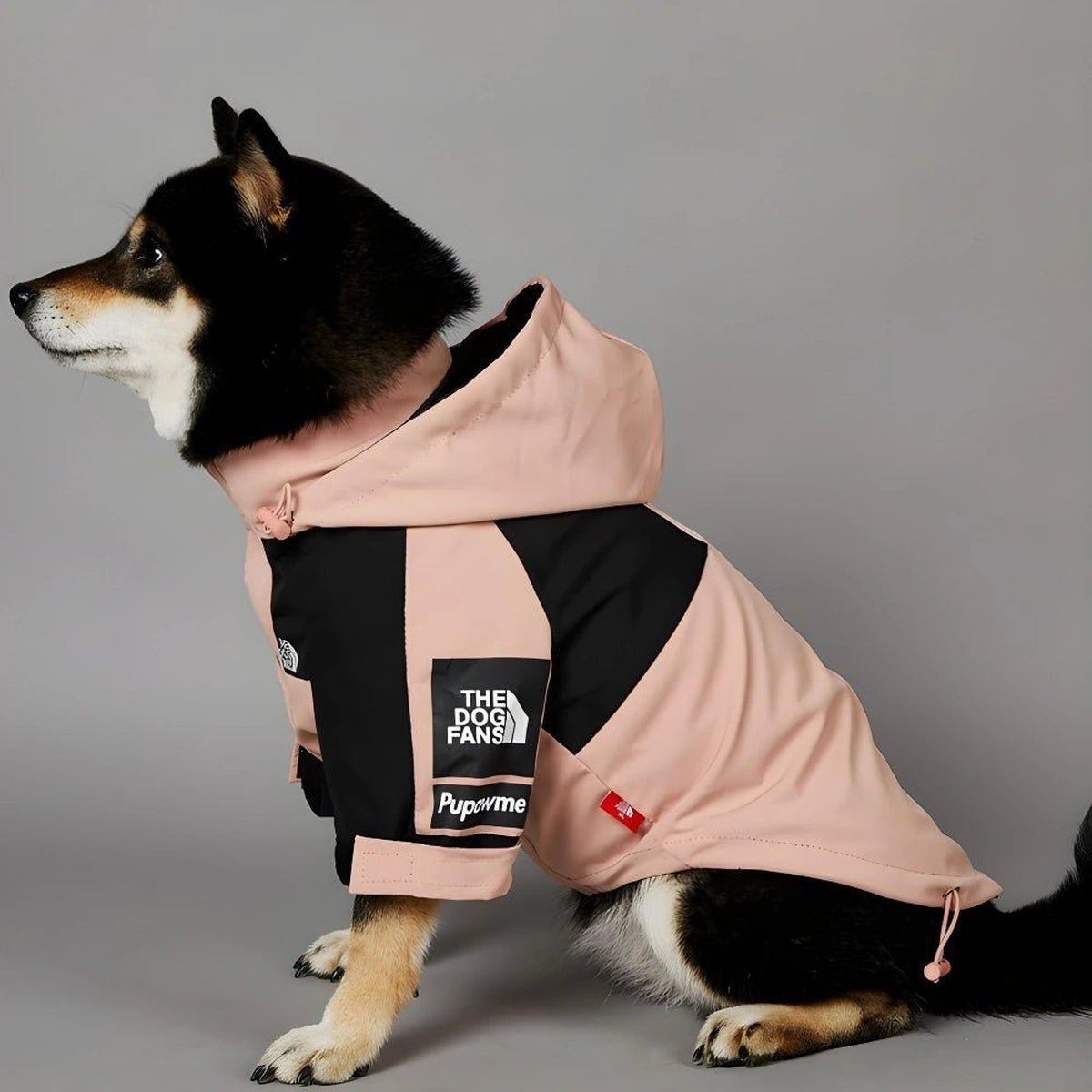 Veste de Luxe Imperméable pour Chiens - CJGD192089501AZ - Vêtements - Chienalafolie