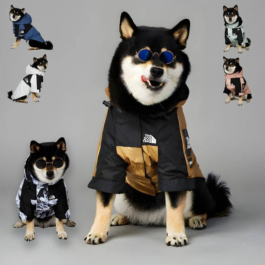 Veste de Luxe Imperméable pour Chiens