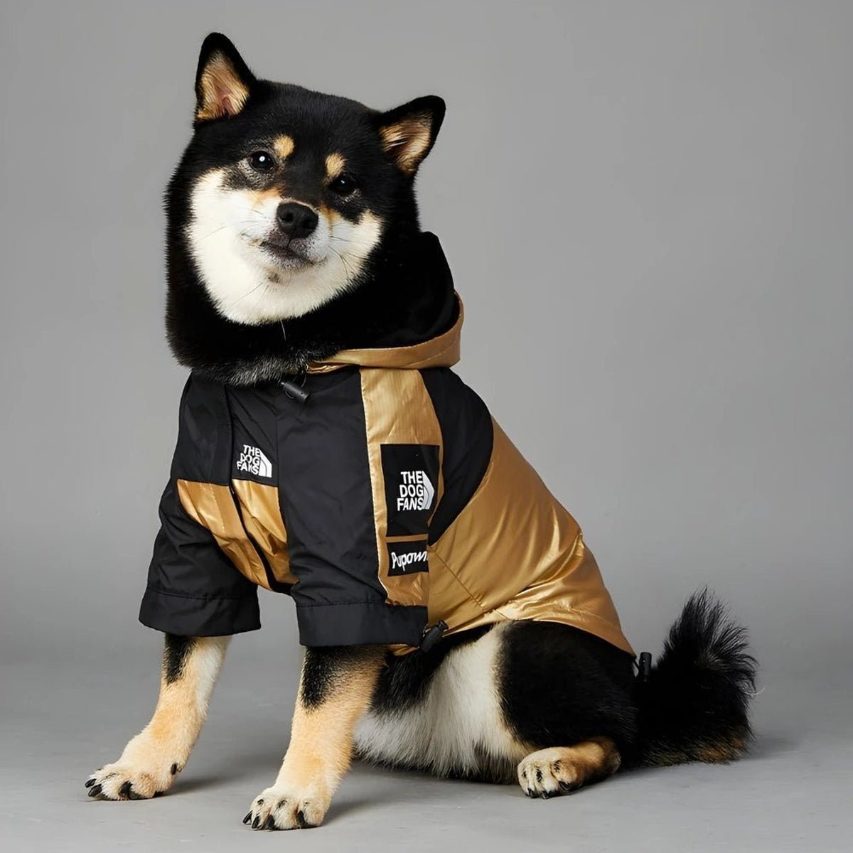 Veste de Luxe Imperméable pour Chiens - CJGD193877601AZ - Vêtements - Chienalafolie