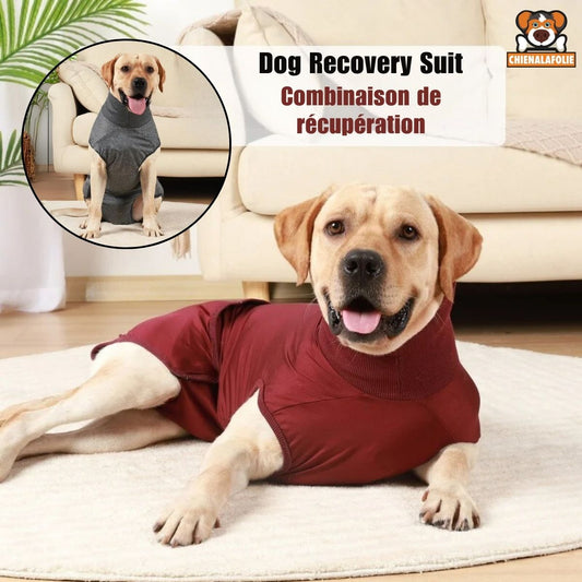 Dog Surgical Recovery Garment with Belly Pocket