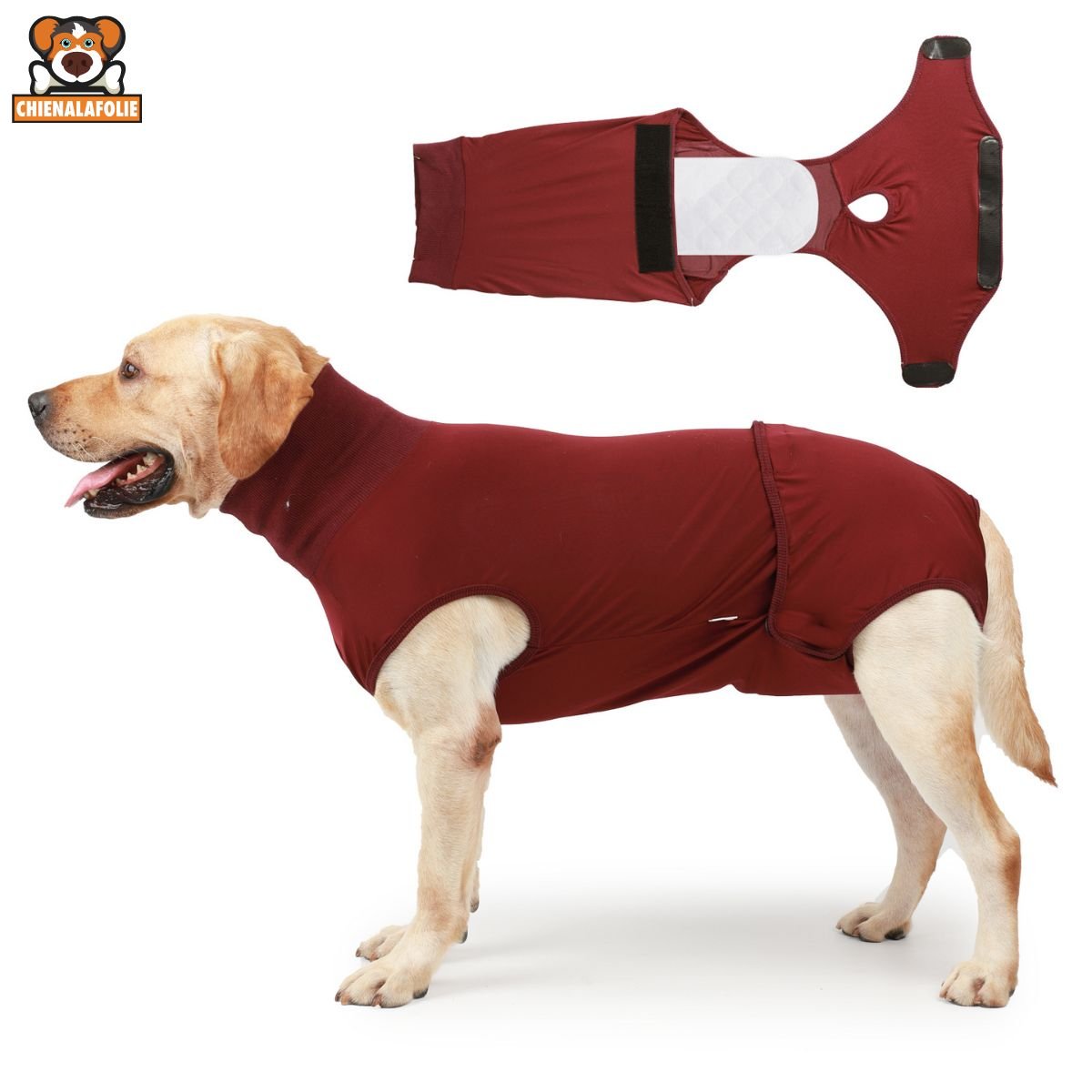 Vêtement de Récupération Chirurgicale pour Chien avec Poche Ventrale - CJGD171087509IR - Vêtements de récupération - Chienalafolie