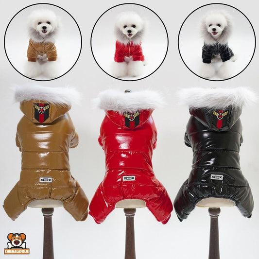 Winter Dog Clothes with Hood and Waterproof